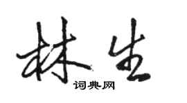 駱恆光林生行書個性簽名怎么寫