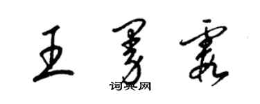 梁錦英王曼霞草書個性簽名怎么寫