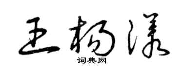 曾慶福王楊漾草書個性簽名怎么寫