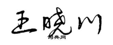 曾慶福王曉川草書個性簽名怎么寫