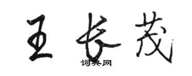 駱恆光王長茂行書個性簽名怎么寫