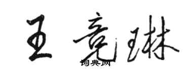 駱恆光王競琳行書個性簽名怎么寫