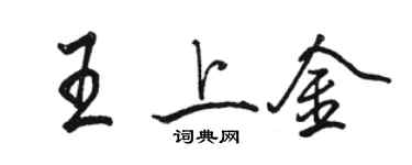 駱恆光王上金行書個性簽名怎么寫