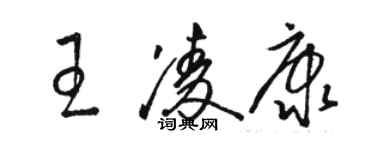 駱恆光王凌康草書個性簽名怎么寫