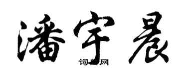 胡問遂潘宇晨行書個性簽名怎么寫