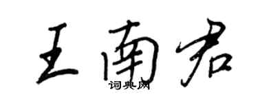 王正良王南君行書個性簽名怎么寫