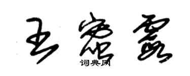 朱錫榮王蜜霞草書個性簽名怎么寫