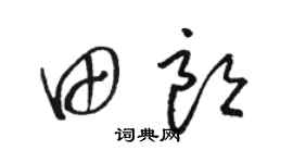 駱恆光田朗草書個性簽名怎么寫