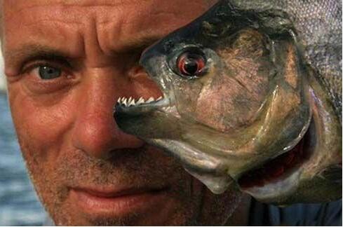 鍾無艷是誰 關於鍾無艷的生平簡介