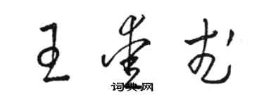 駱恆光王愛武草書個性簽名怎么寫