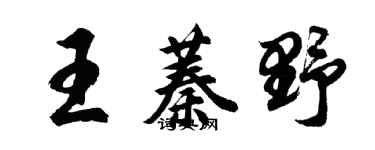 胡問遂王蓁野行書個性簽名怎么寫