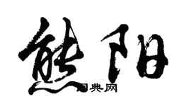 胡問遂熊陽行書個性簽名怎么寫