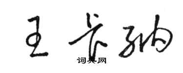 駱恆光王卡納草書個性簽名怎么寫