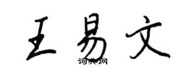 王正良王易文行書個性簽名怎么寫
