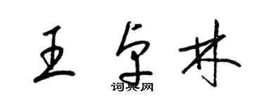 梁錦英王卓林草書個性簽名怎么寫