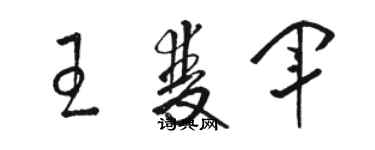 駱恆光王雙軍草書個性簽名怎么寫