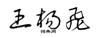 曾慶福王楊飛草書個性簽名怎么寫