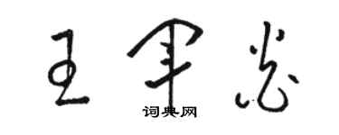 駱恆光王軍炎草書個性簽名怎么寫