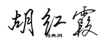 駱恆光胡紅霞行書個性簽名怎么寫