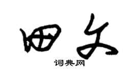 朱錫榮田文草書個性簽名怎么寫