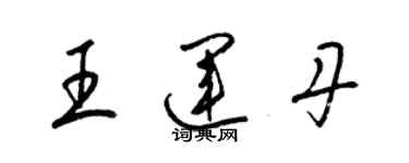 梁錦英王運丹草書個性簽名怎么寫