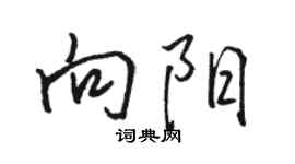 駱恆光向陽行書個性簽名怎么寫