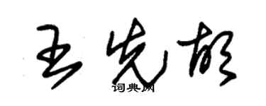 朱錫榮王先胡草書個性簽名怎么寫