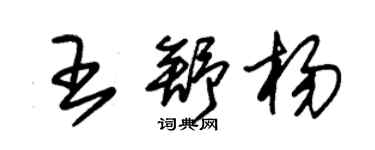 朱錫榮王舒楊草書個性簽名怎么寫