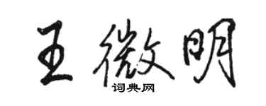 駱恆光王微明行書個性簽名怎么寫