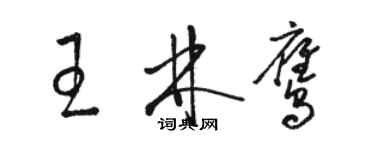 駱恆光王林鷹草書個性簽名怎么寫