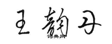 駱恆光王韻丹草書個性簽名怎么寫