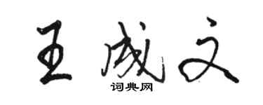 駱恆光王成文行書個性簽名怎么寫