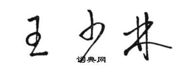 駱恆光王少林草書個性簽名怎么寫