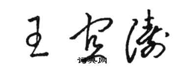 駱恆光王宜濤草書個性簽名怎么寫