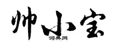 胡問遂帥小寶行書個性簽名怎么寫