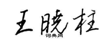 王正良王曉柱行書個性簽名怎么寫