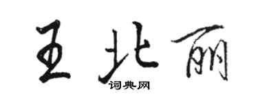 駱恆光王北麗行書個性簽名怎么寫