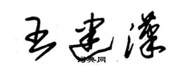 朱錫榮王建漢草書個性簽名怎么寫