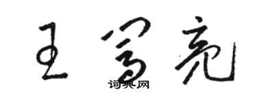 駱恆光王闖亮草書個性簽名怎么寫