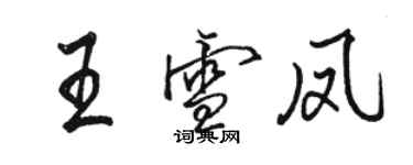 駱恆光王雪鳳行書個性簽名怎么寫