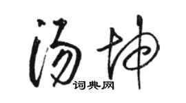 駱恆光湯坤草書個性簽名怎么寫