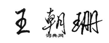 駱恆光王朝珊行書個性簽名怎么寫