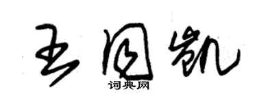 朱錫榮王同凱草書個性簽名怎么寫