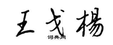 王正良王戈楊行書個性簽名怎么寫