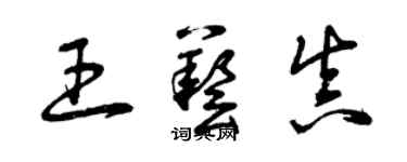 曾慶福王藝真草書個性簽名怎么寫