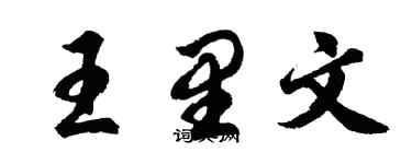 胡問遂王里文行書個性簽名怎么寫