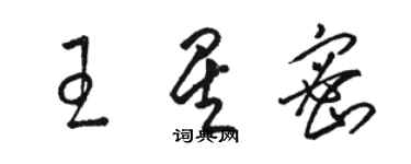 駱恆光王星密草書個性簽名怎么寫