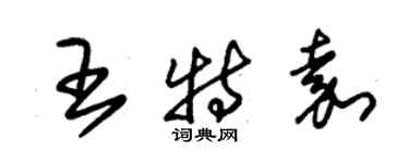 朱錫榮王特嘉草書個性簽名怎么寫