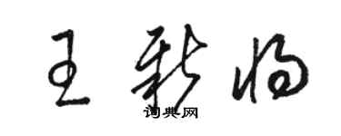 駱恆光王新將草書個性簽名怎么寫