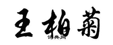 胡問遂王柏菊行書個性簽名怎么寫
